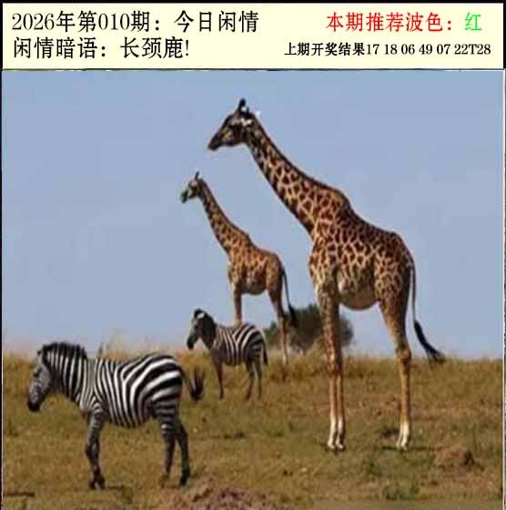 010期今日闲情2[图]