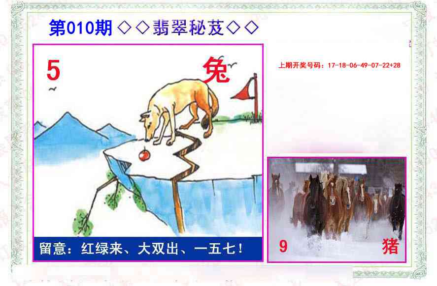 010期翡翠报[图]