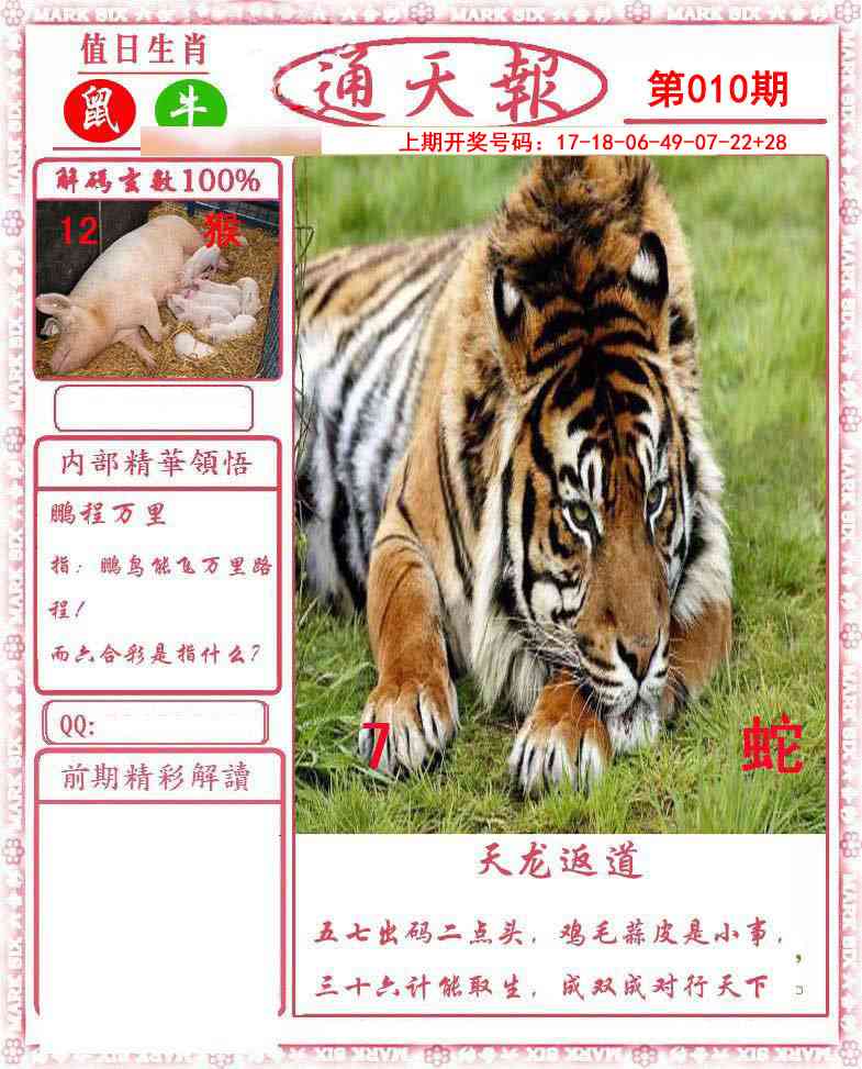 010期正版通天报[图]