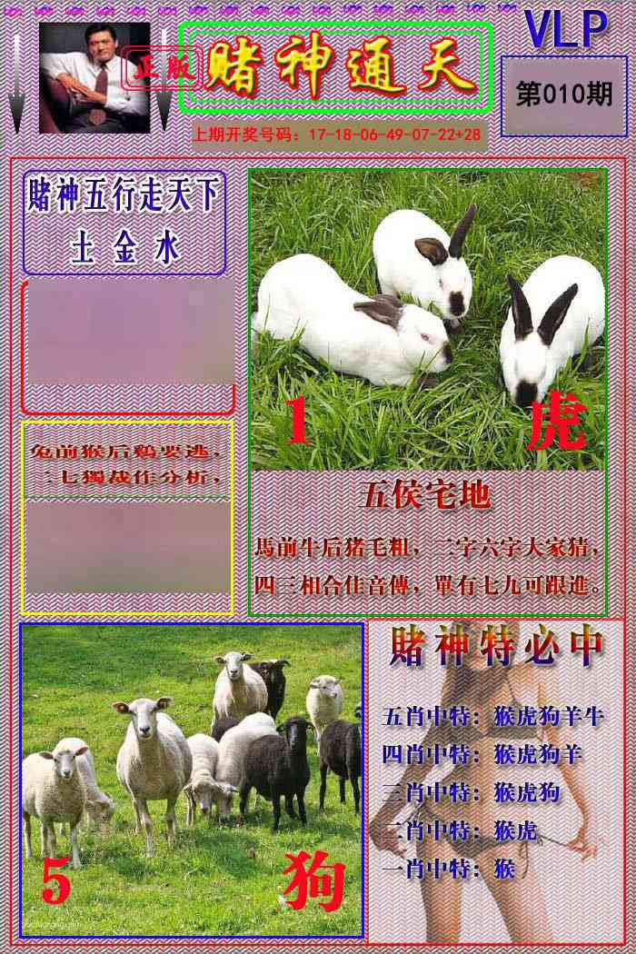 010期赌神通天报[图]