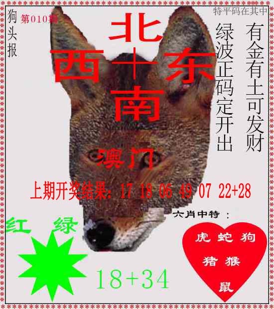 010期狗头报[图]
