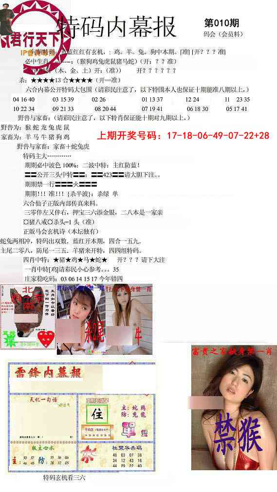 010期特码内幕报[图]