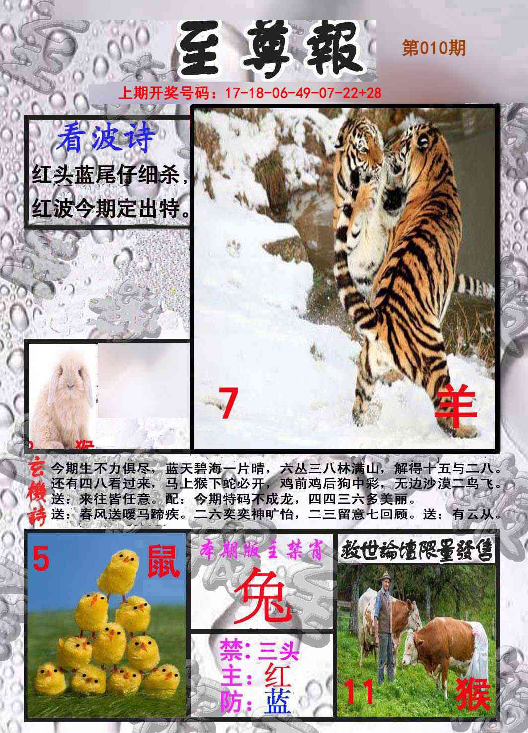 010期至尊报[图]