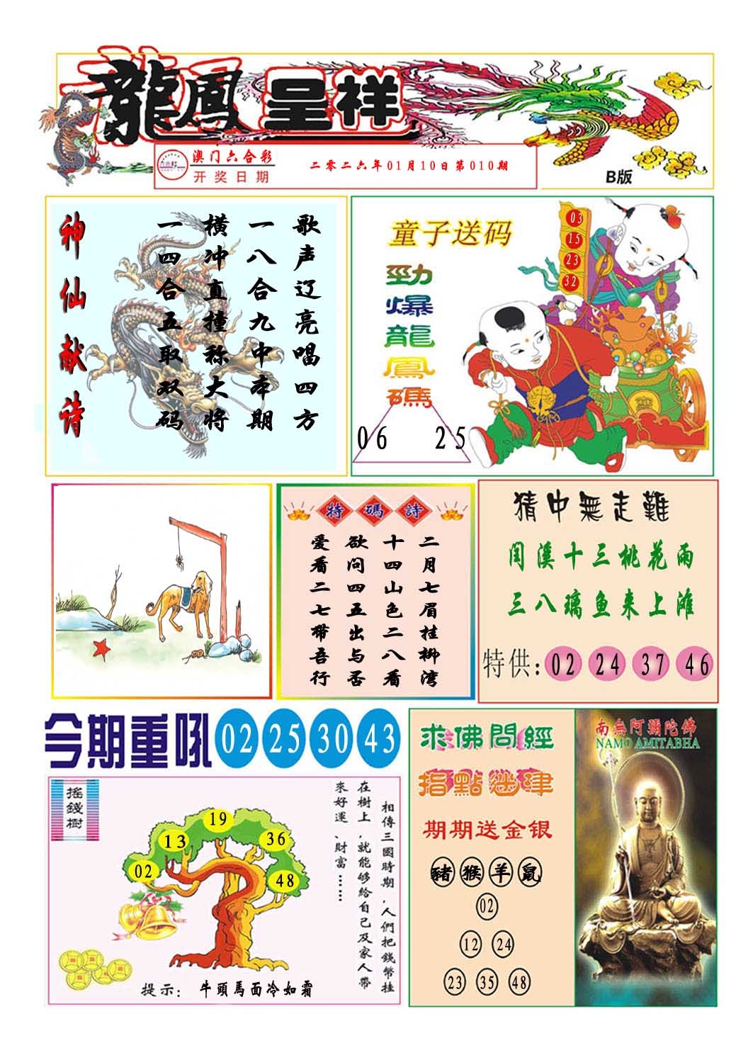 010期龙凤呈祥B[图]