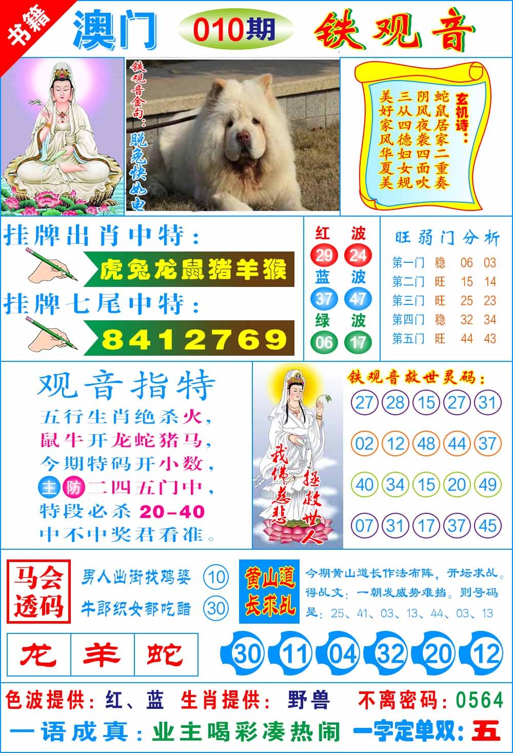 010期澳门铁观音[图]