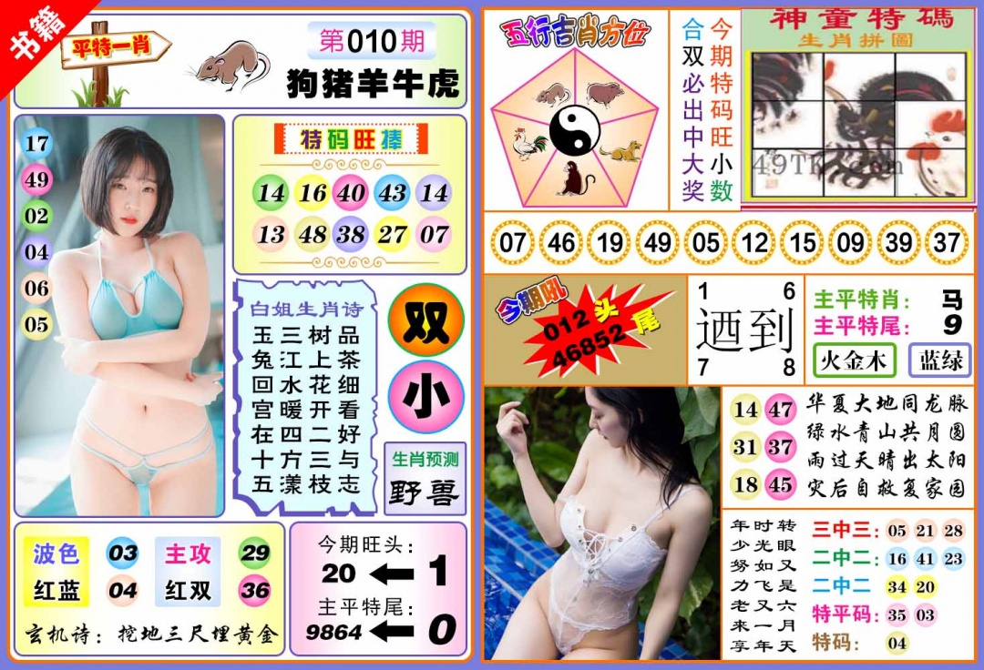 010期澳门五行白姐[图]