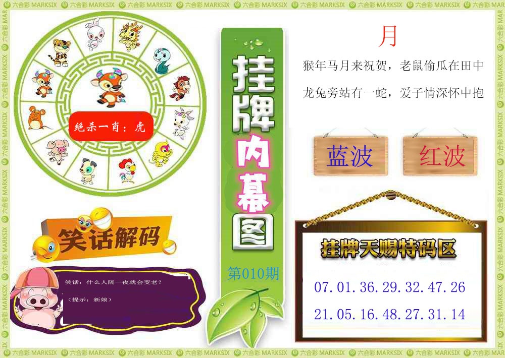 100期挂牌内幕图[图]