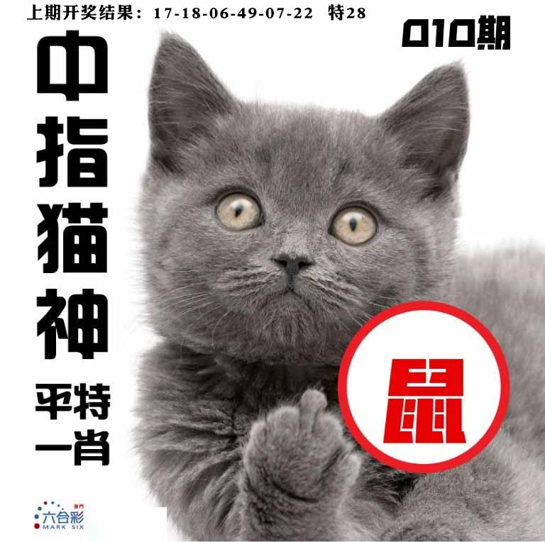 010期中指猫神[图]